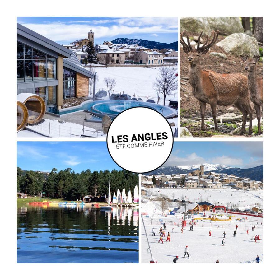 Le Petit Ours & Le Petit Cerf - Studios Vue Lac & Montagnes Les Angles  Ngoại thất bức ảnh
